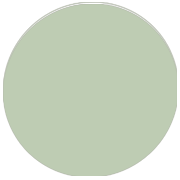 Robes demoiselle d'honneur Vert Sauge en Ligne