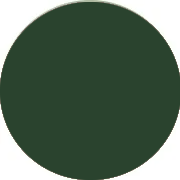 Robes demoiselle d'honneur Vert foncé en Ligne